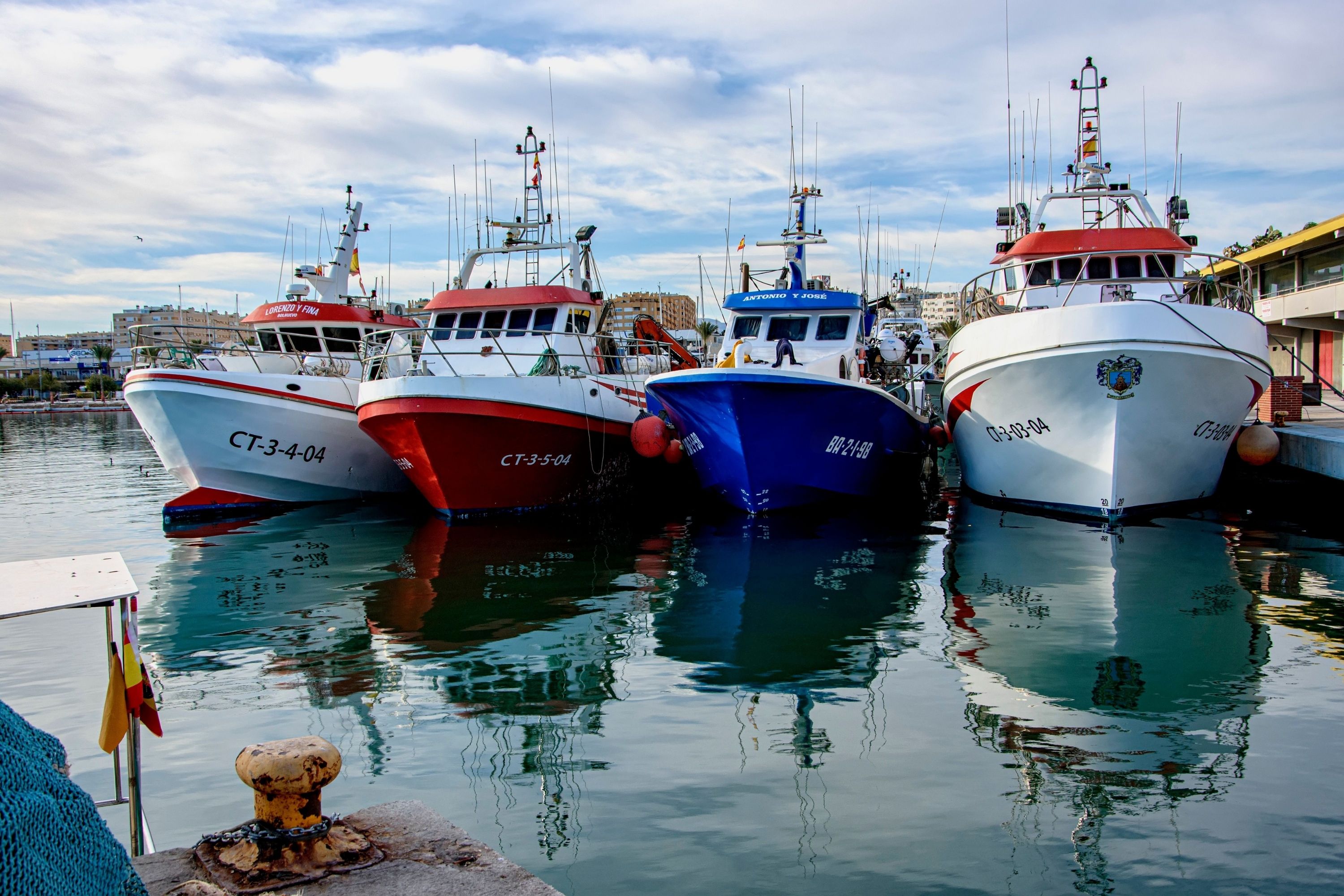 Embarcaciones profesionales de pesca en puerto
